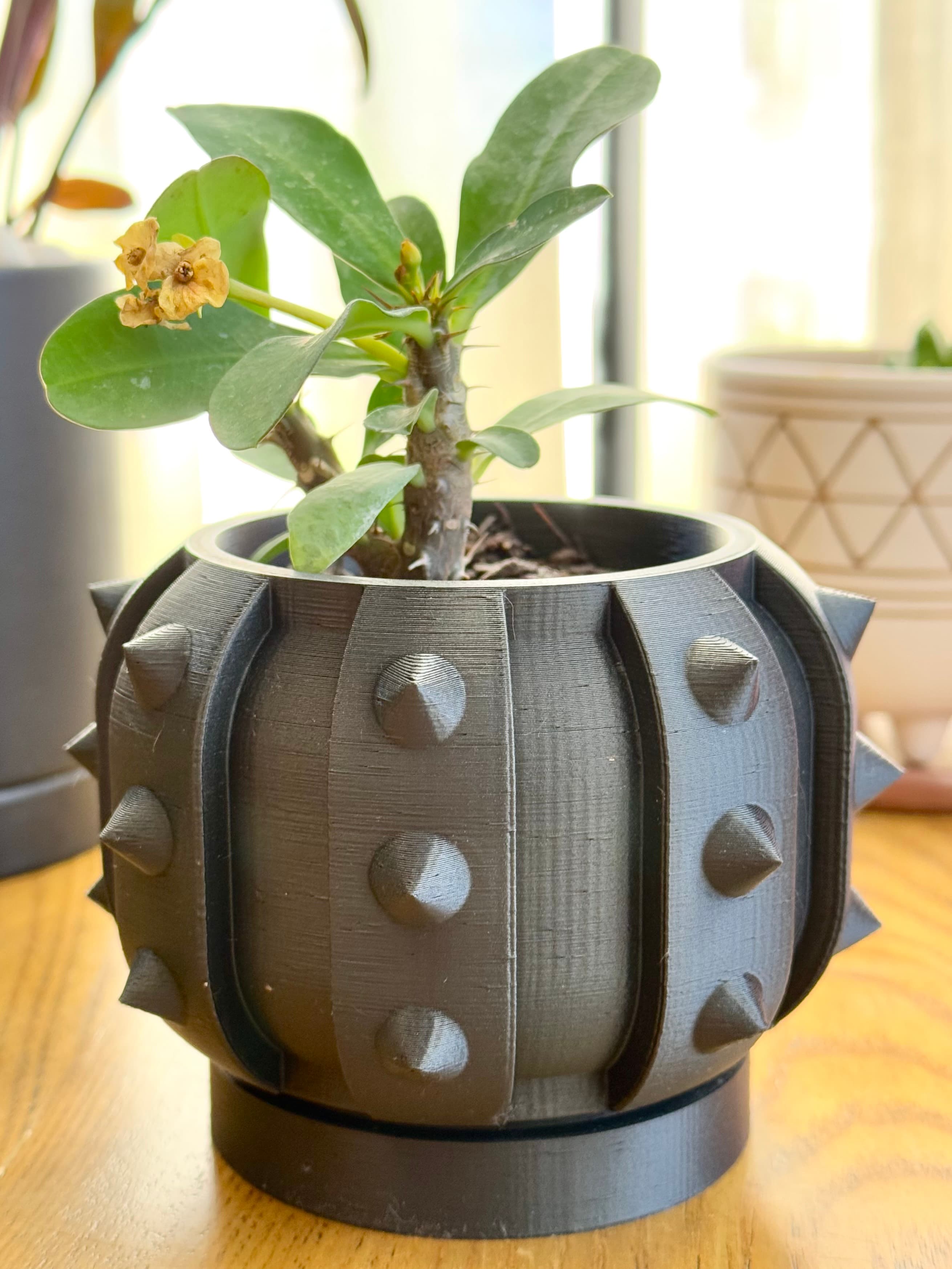 The Alver Planter Pot With Drainage Tray & Stand Included