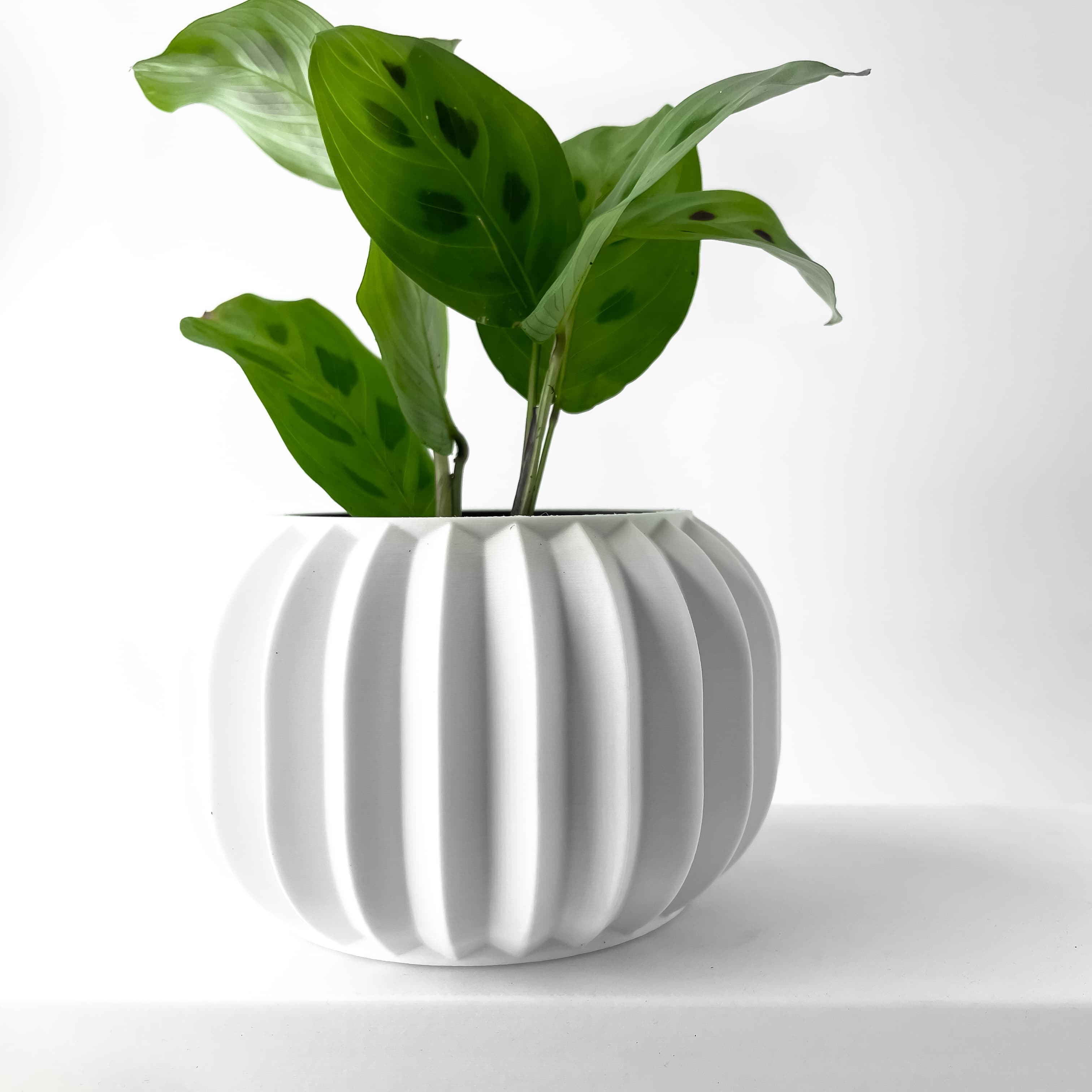 The Olin Planter Pot With Drainage Tray & Stand