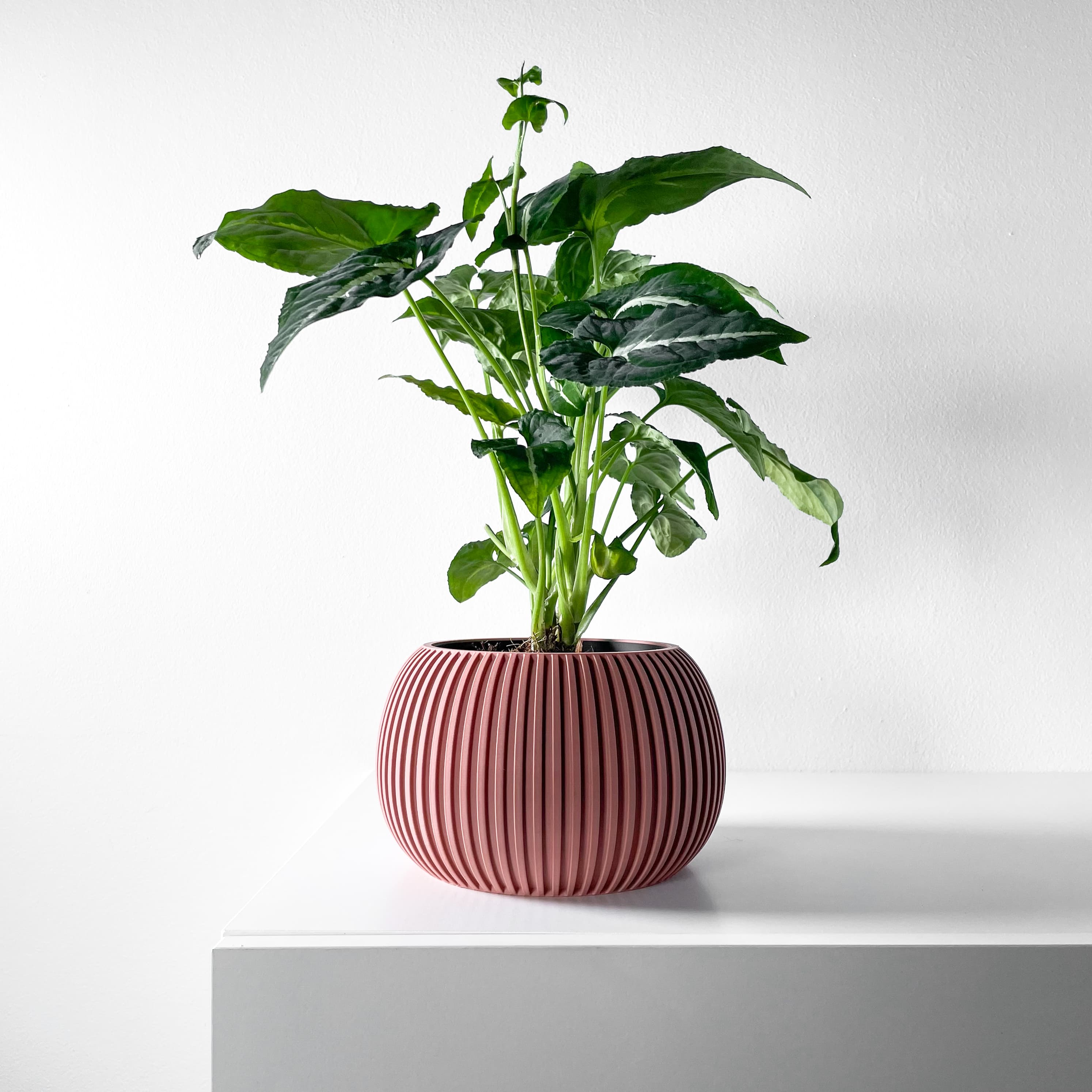 The Surno Planter Pot With Drainage Tray & Stand Included