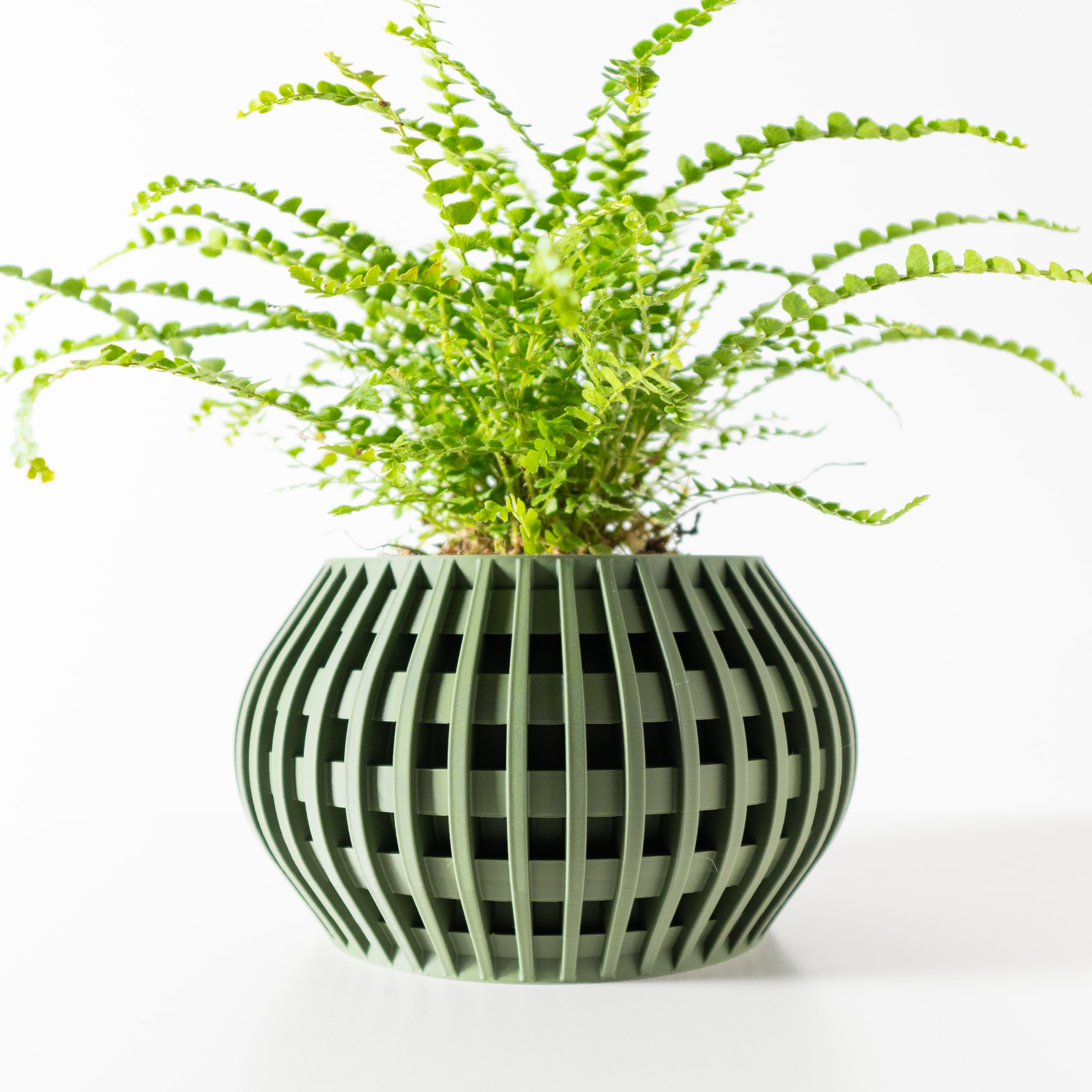 The Usio Planter Pot With Drainage Tray & Stand