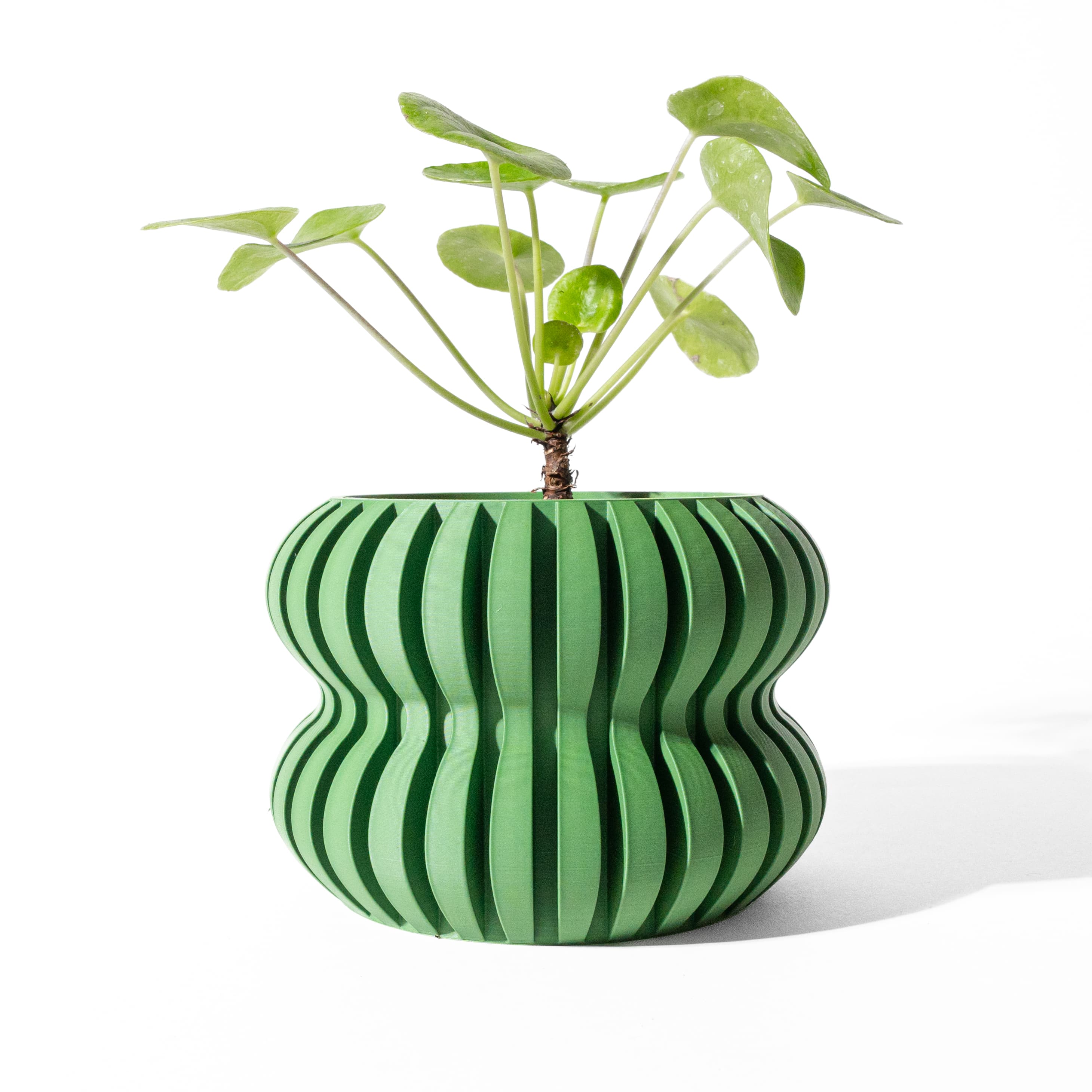 The Daso Planter Pot With Drainage Tray & Stand