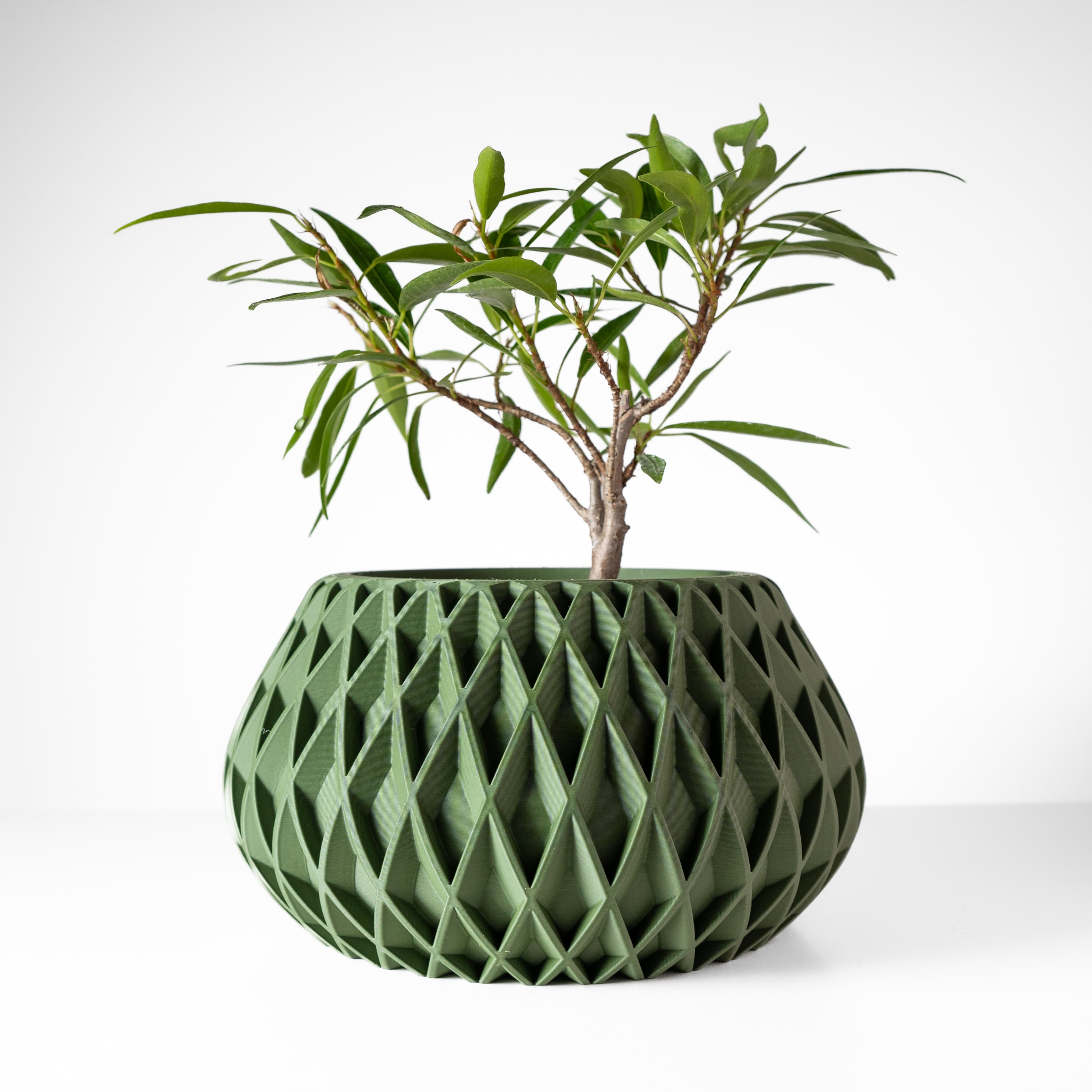 The Rivio Planter Pot With Drainage Tray & Stand