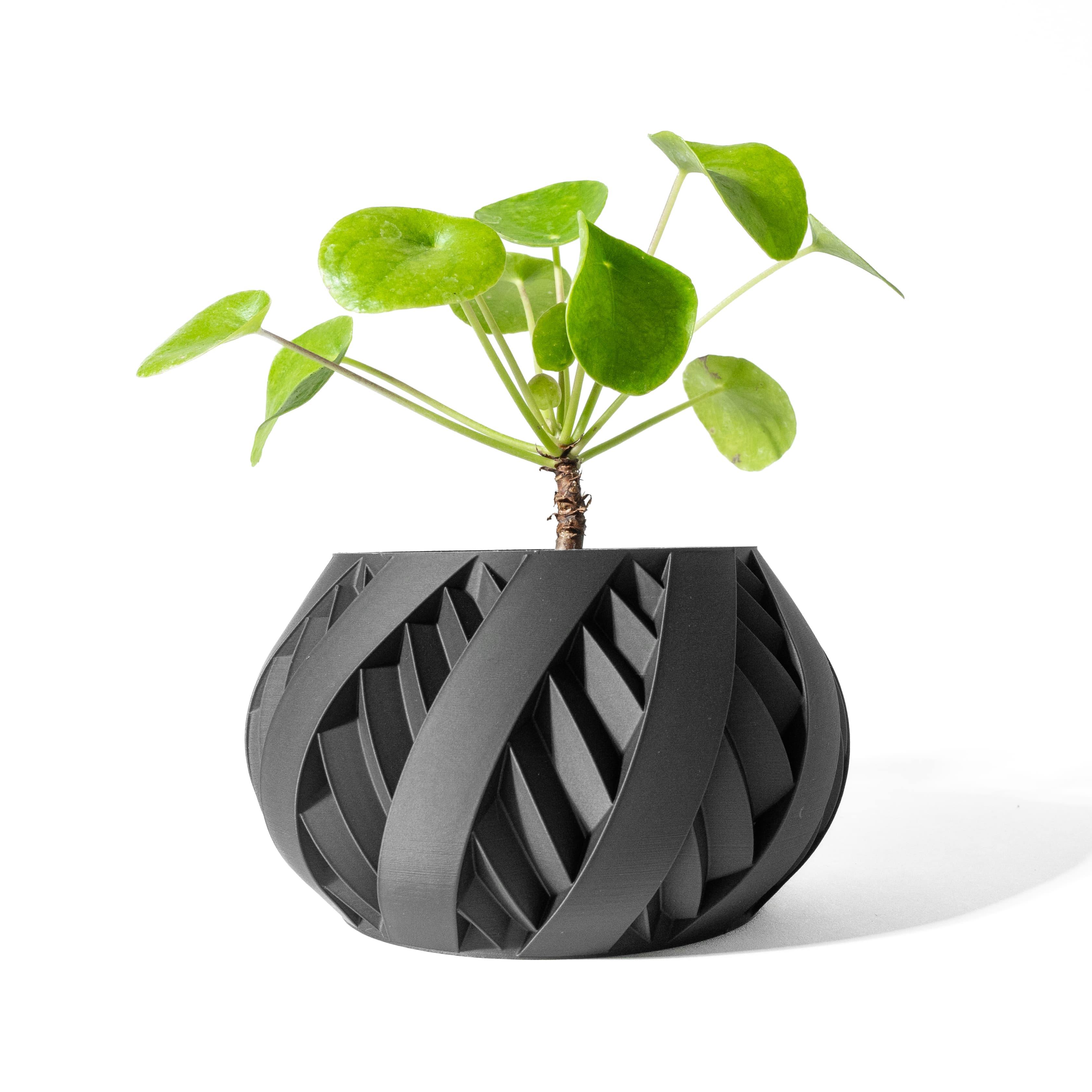 The Silvo Planter Pot With Drainage Tray & Stand