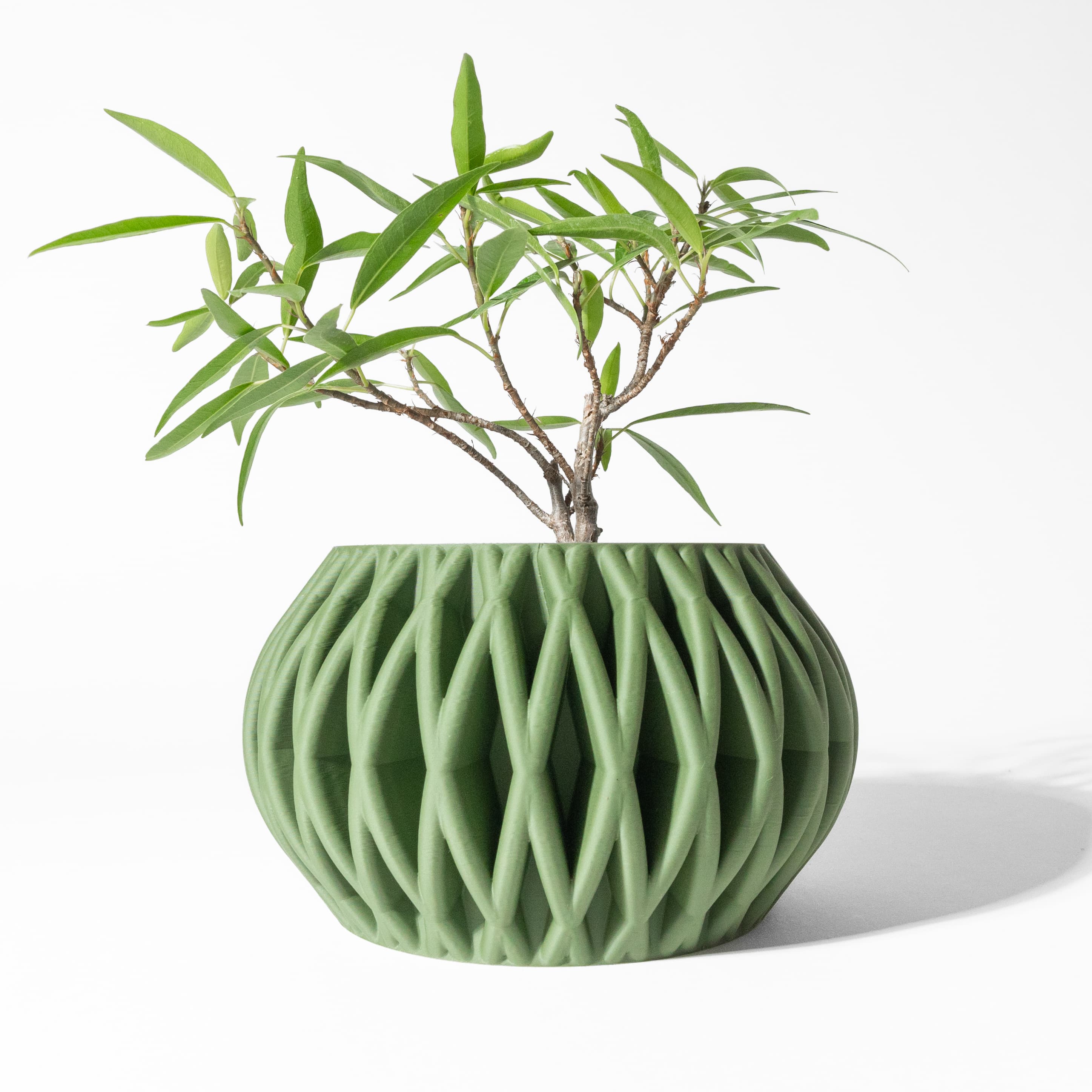 The Maka Planter Pot With Drainage Tray & Stand