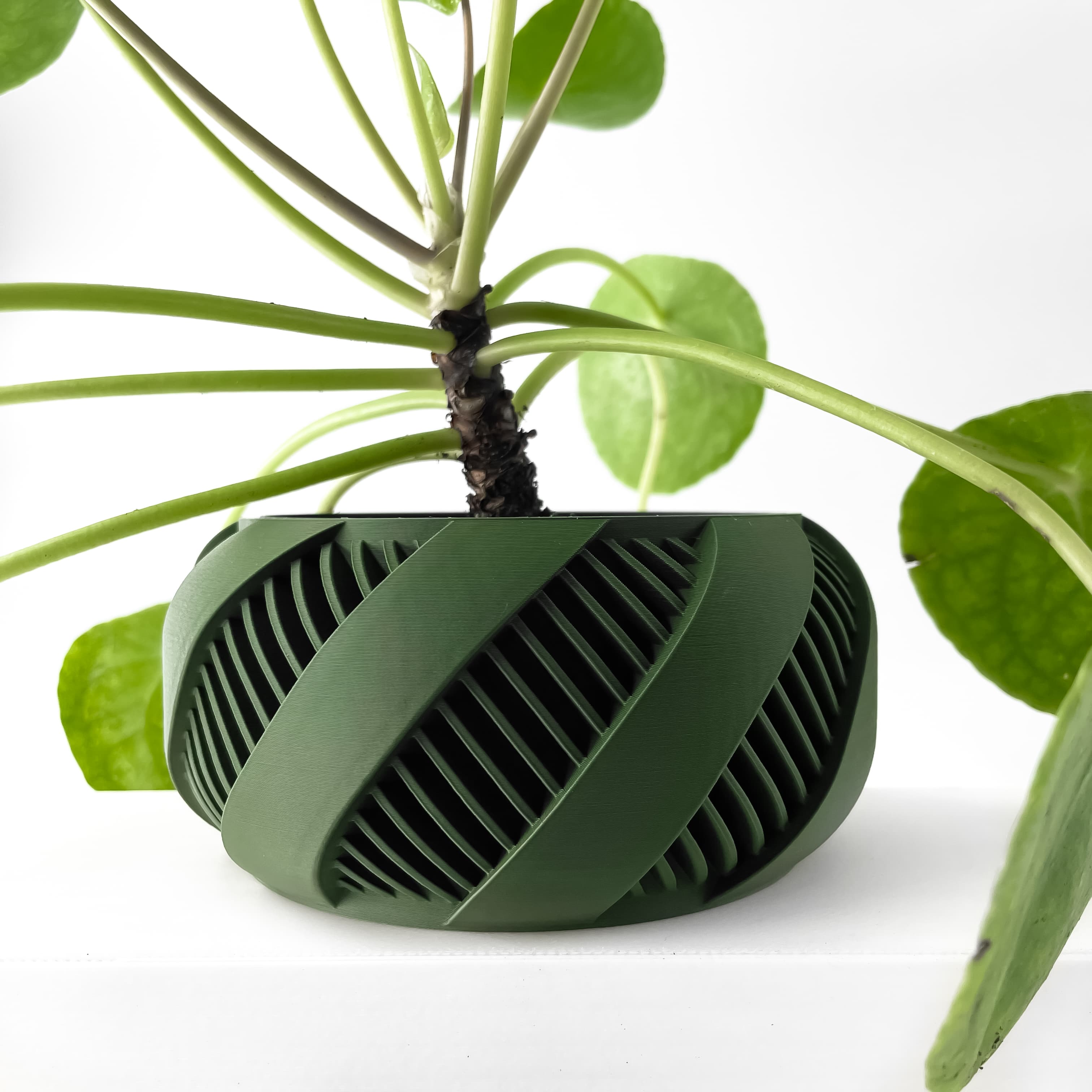 The Brimo Planter Pot With Drainage Tray & Stand Included