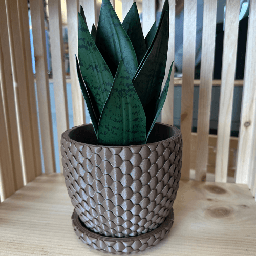 Dragonscale Planter Pot 01