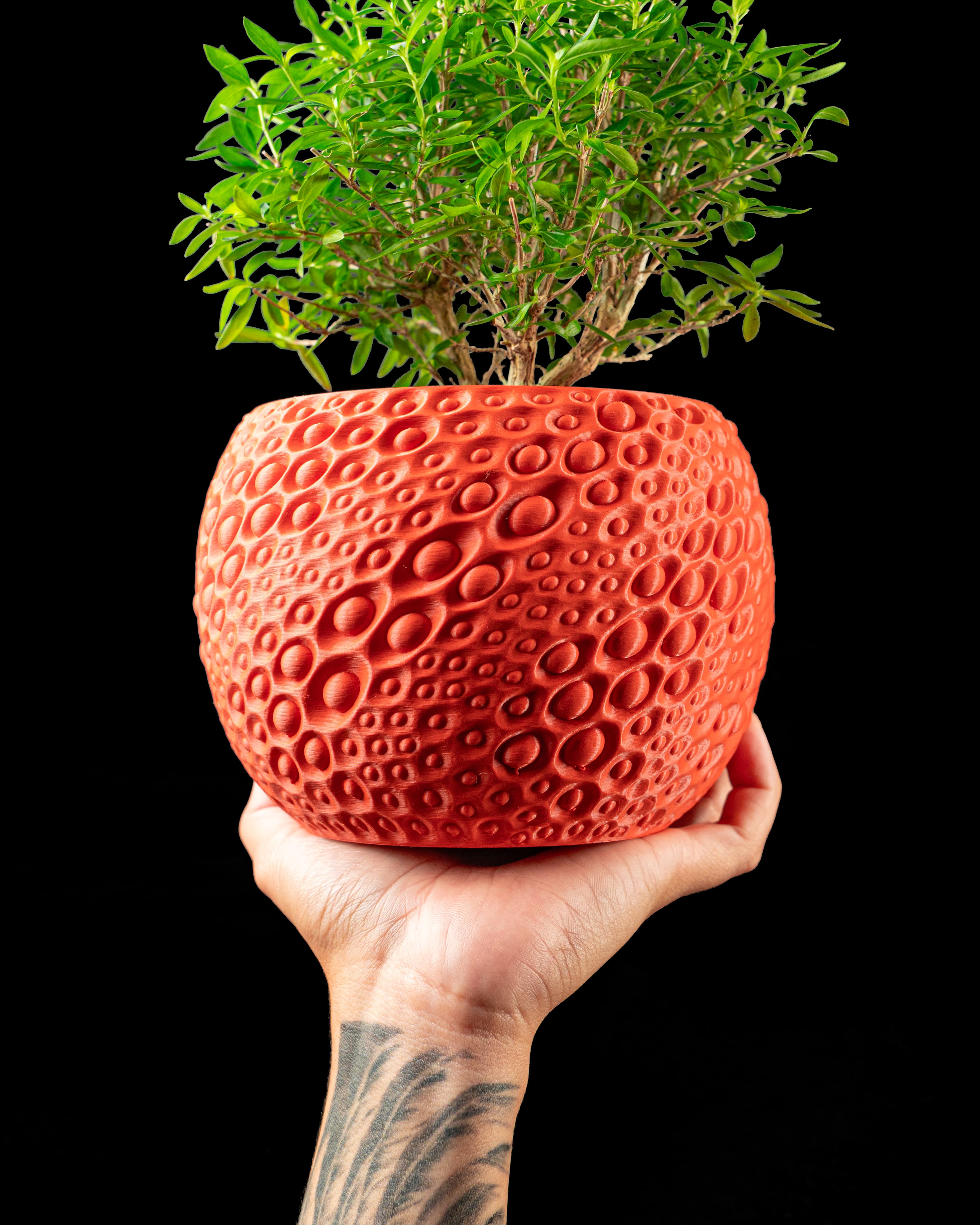 Pearl Planter Pot