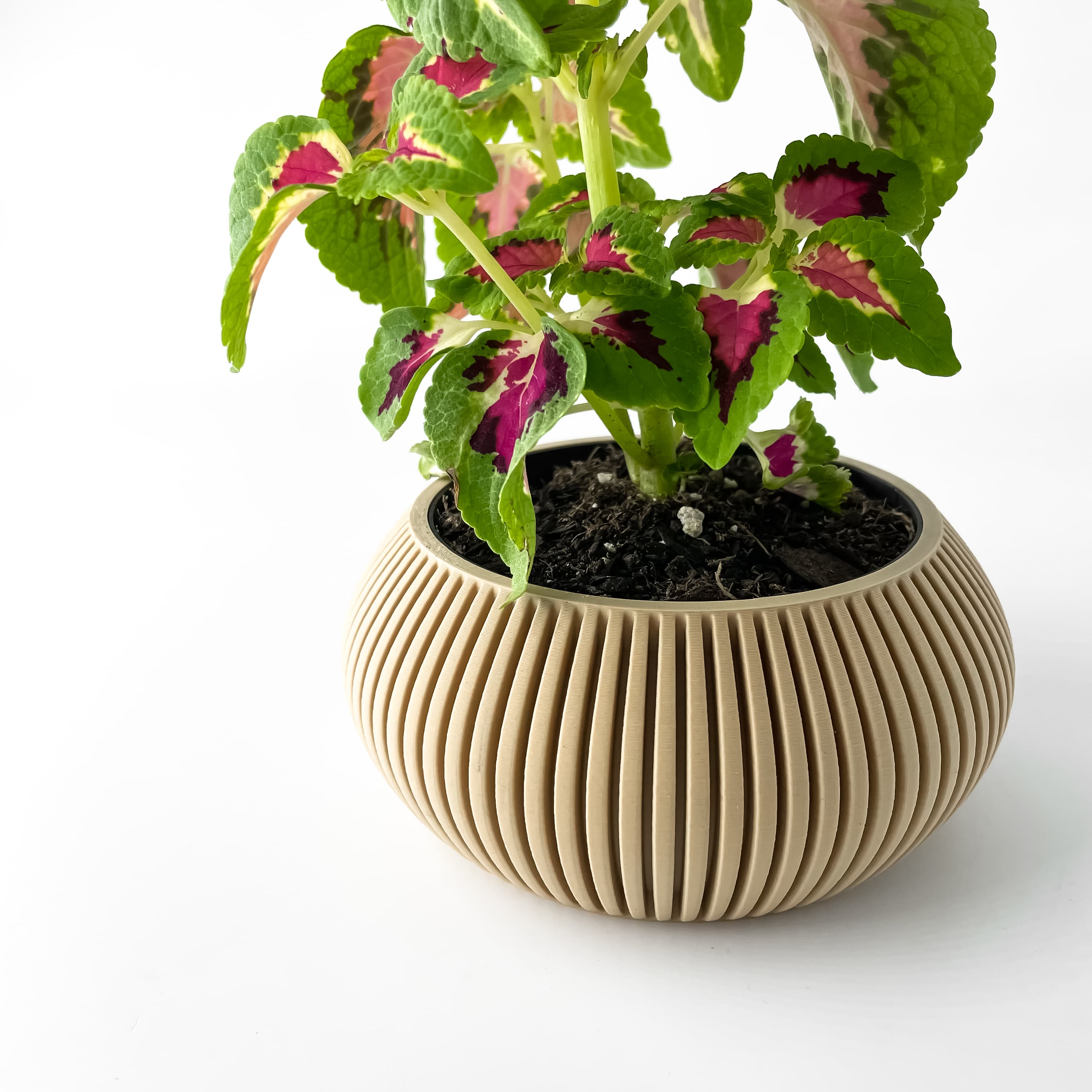 The Torme Planter Pot With Drainage Tray & Stand Included